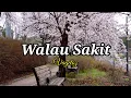 Download Lagu Walau Sakit ☆ Vagetoz ☆ lirik