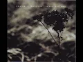 Desiderii Marginis - Silence Will Stop Our Hearts