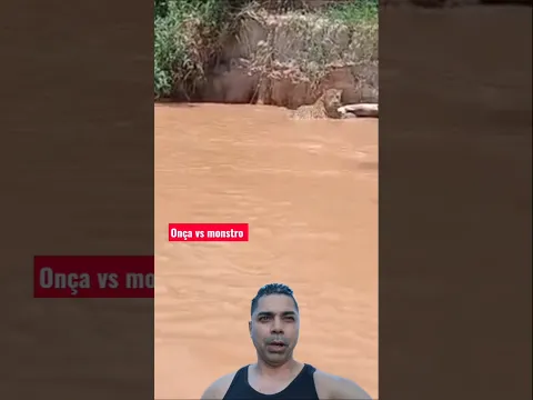 Tração da onça vs Jacaré esbarrancando na força