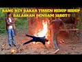 Download Lagu BANG REY LAMPUNG TERBARU✅BANG REY MURKA‼️BAKAR TISSEN SAMPAI HANGUS TAK TERSISA