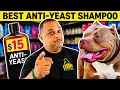 Vets Don t Want You Knowing This 15 Yeast Fix Works Better Than Their 80 Shampoo