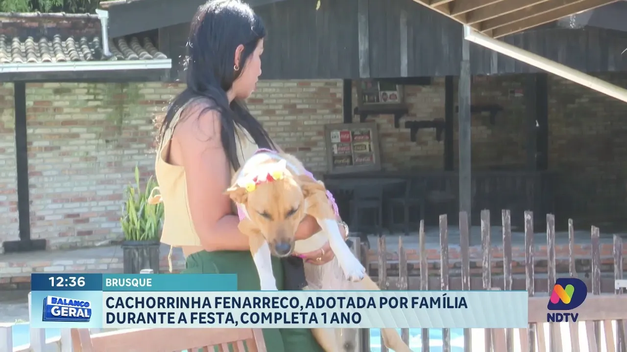 Cachorra adotada na Fenarreco comemora 1 ano com sua nova família