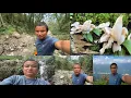Download Lagu Aju Forest Mushroom Hunting Ma Jada  Yeto Dangerous Place ⚡️😱 || Rural Life In Village Vlog ||