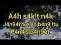 Download Lagu Jikalau saja tahu mungkin tidak akan pernah