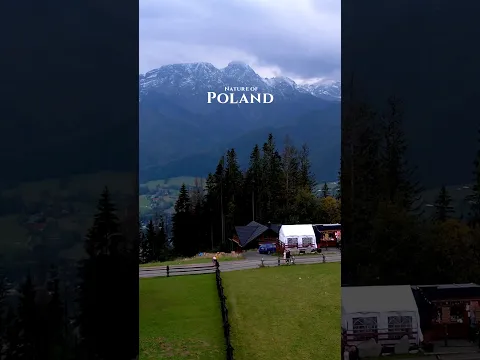 You didn't know Poland looked this good #nature #beautiful