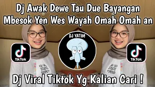 dj awak dewe tau duwe bayangan besok dj mendung tanpo udan mocil fvnky remix mengkane viral tiktok