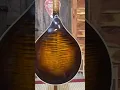 Download Lagu POV: You found the most beautiful mandolin!😍