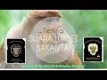 Download Lagu TESTING SUARA WALET BEKANTAN