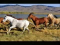 Download Lagu Wild Horses  (Rolling Stones)