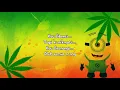 Download Lagu Daun ilusi