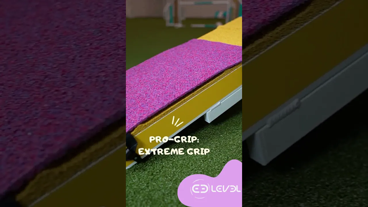 Dogwalk Target "Level Pro Grip"