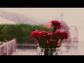 Download Lagu 4 Hours of Peaceful Rain with BTS Piano Music for Sleeping and Studying