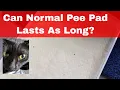 Download Lagu UniCharm Litter Box Review (最新の日本技術 Latest Technology From Japan) - How Long A Normal Pee Pad Last?