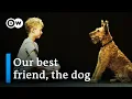 Dogs us - The secrets of an unbreakable friendship DW Documentary