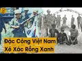 Download Lagu Tội Ác Không Thể Tha Thứ Của Lính Đánh Thuê Hàn Quốc Và Màn Xé Xác Rồng Xanh Đi Vào Huyền Thoại