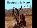 Blowin' in the Wind - The New World Singer