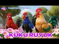 LAGU ANAK 🇮🇩 KUKURUYUK | LAGU AYAM JAGO | AYAM BERKOKOK | LAGU ANAK TREND | LAGU ANAK INDONESIA