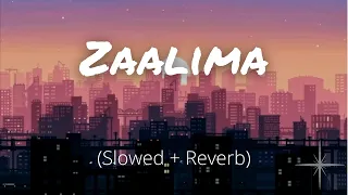 Zaalima (Slowed and Reverb) | Raees | Arijit Singh \u0026 Harshdeep Kaur