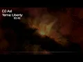 Download Lagu DJ Axl - Liberty