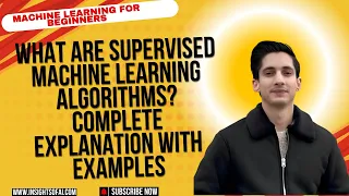 Machine Learning For Beginners Python 4 Supervised Machine Learning - Loan Approvals Decision Trees