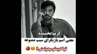 تو کدومشو می دونستی بازیگر های سیب ممنوعه 