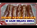 Download Lagu ES LILIN KELAPA MUDA SERUT - CARA MEMBUAT ES LILIN KELAPA MUDA UNTUK JUALAN - IDE BISNIS RUMAHAN