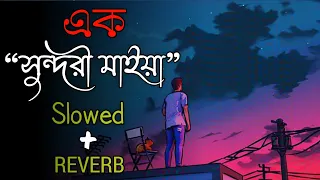 Ek Sundori Maiyaa [Slowed+ Reverb]😌 Ankur Mahamud Feat Jisan Khan Lofi songs...