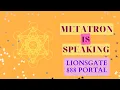 888 Lionsgate Portal Abundance - What You Need To Know