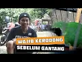 Download Lagu ternyata Wajib kerodong SEBELUM gantang cucak ijo setting kerodong cucak ijo By HoBi ID