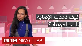 هل عانيتم يوما من الغثيان وارتفاع درجة الحرارة  هذه قد تكون أعراض السالمونيلا دندنها