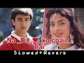 Lagu Na Dil Ko Chain Hain Na Mujhko Karar Hai (Slowed+Reverb) Old Song || Udit Narayan \u0026 Anuradha Paudwal