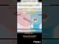 Download Lagu Proses Sperma Masuk Kedalam Vagina