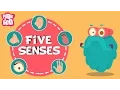 Download Lagu The Five Senses | The Dr. Binocs Show | Educational Videos For Kids