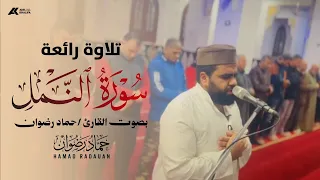 تلاوة رائعة من سورة النمل بصوت القارئ حماد رضوان ابداع يبكي القلوب                         دندنها