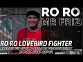 Download Lagu LOVEBIRD FIGHTER RORO SIAP MENJADI PESAING BERAT KELAS FIGHTER BEBAS AKSI DI PIALA KOTA DEPOK