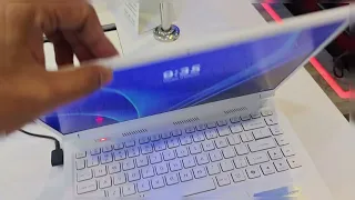                                               دندنها