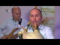 Download Lagu Manastirska gajda - Goranco Angelov - Gajda