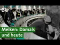 Download Lagu Vom Handmelken zu High-Tech: Der technische Fortschritt im Kuhstall | Unser Land | BR