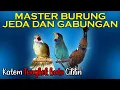 Download Lagu Master Jeda dan Gabungan | kapas tembak, tengkek buto, cililin