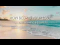 Download Lagu Calvin Harris \u0026 Disciples - How Deep Is Your Love (Lyrics)