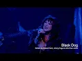 Download Lagu Ann Wilson - Black Dog (Live)