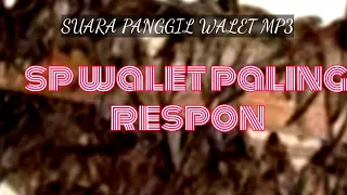 sp walet paling respon mp3