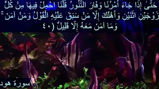 سورة هود فارس عباد مع كتابه الاياتجوده عاليه 