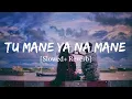 Download Lagu Tu Mane Ya Na Mane Dildara Lofi Song | Rab Maneya Lofi Song | slowed+ Reverb Remix