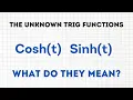 What are hyperbolic trig functions