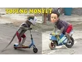 Download Lagu TOPENG MONYET The best Monkey street attraction