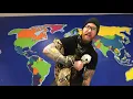 Animal Facts - Differences between boas and pythons
