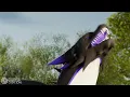 Dragoness swallows human
