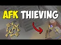 Varlamore AFK Thieving QUICK Guide Stealing Valuables