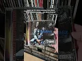 Download Lagu #bustarhymes #whendisastersteikes ... #1997 #elektraentertainment #nyc #brooklyn #hiphop #hiphopcd